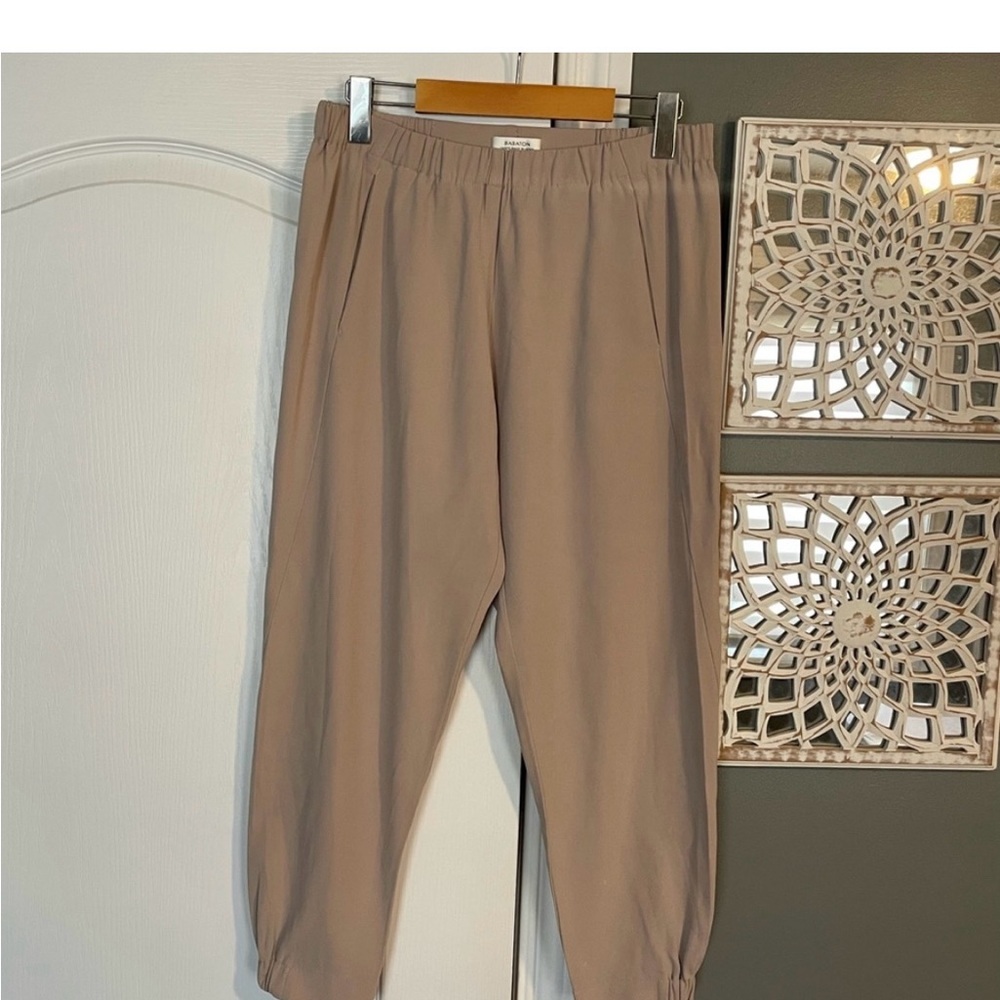 Aritzia | Babaton Dexter Pants